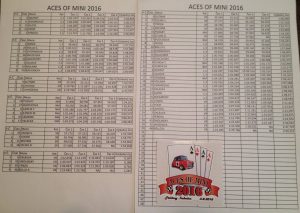 Výsledky Aces of Mini 2016